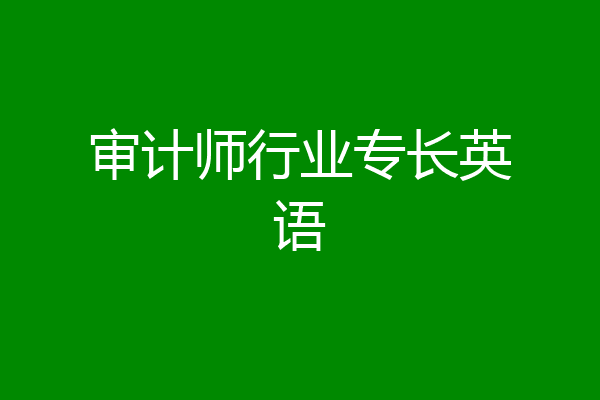 审计师行业专长英语