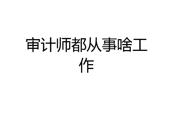 审计师都从事啥工作