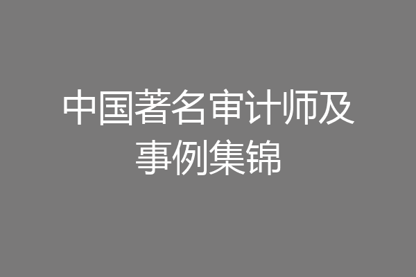 中国著名审计师及事例集锦