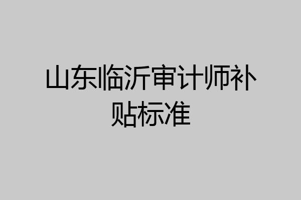 山东临沂审计师补贴标准