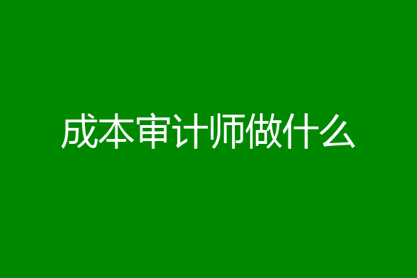 成本审计师做什么