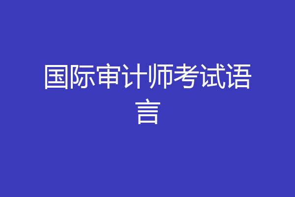 国际审计师考试语言
