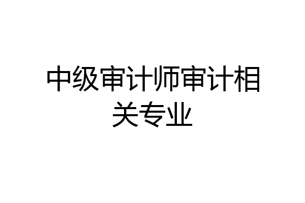 中级审计师审计相关专业