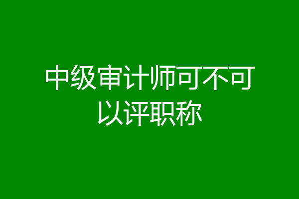 中级审计师可不可以评职称