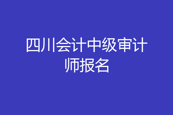 四川会计中级审计师报名