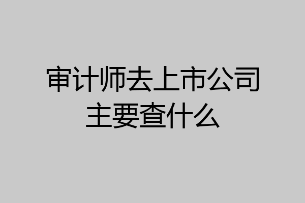 审计师去上市公司主要查什么
