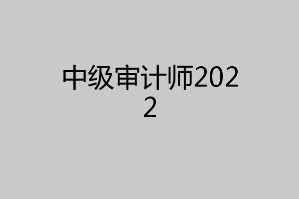 中级审计师2022