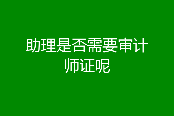 助理是否需要审计师证呢