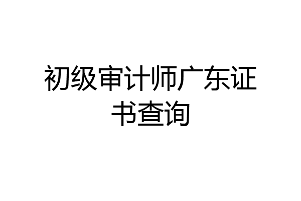 初级审计师广东证书查询