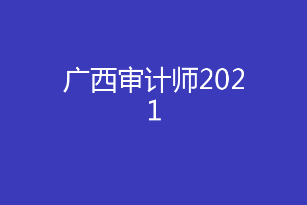 广西审计师2021