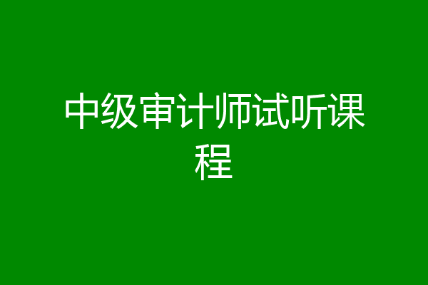 中级审计师试听课程