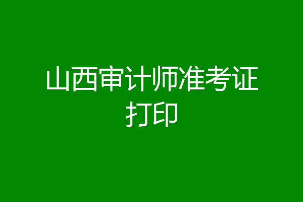 山西审计师准考证打印