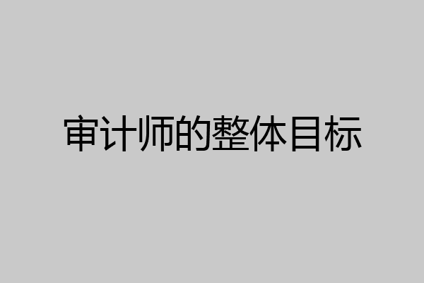 审计师的整体目标