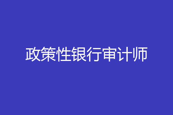 政策性银行审计师