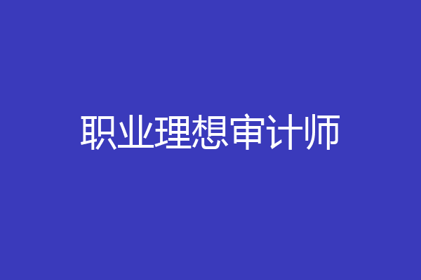 职业理想审计师
