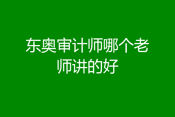 东奥审计师哪个老师讲的好