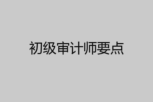 初级审计师要点