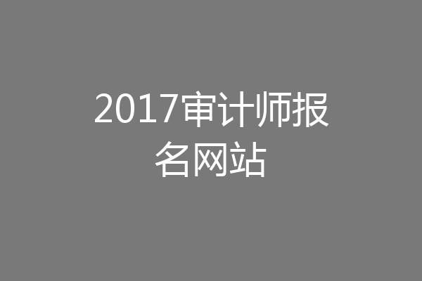 2017审计师报名网站