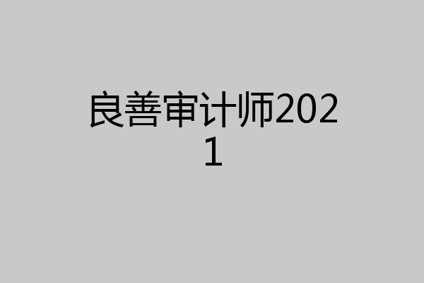 良善审计师2021