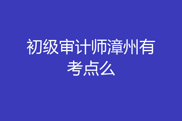 初级审计师漳州有考点么