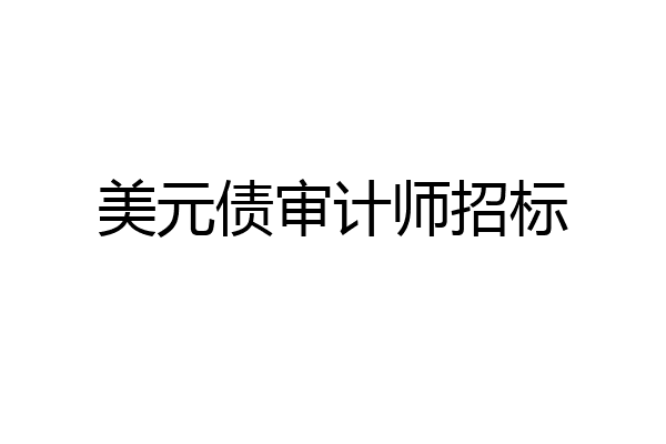 美元债审计师招标