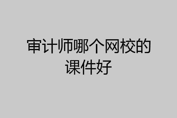 审计师哪个网校的课件好