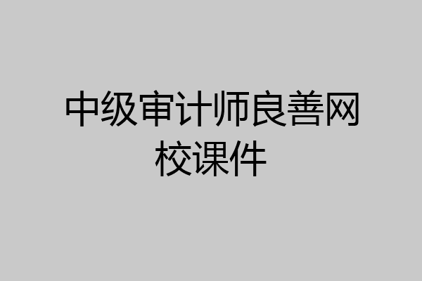 中级审计师良善网校课件