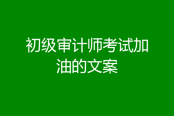 初级审计师考试加油的文案