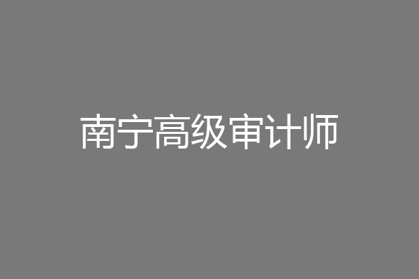 南宁高级审计师