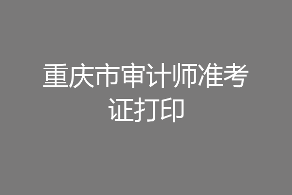 重庆市审计师准考证打印