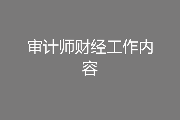 审计师财经工作内容