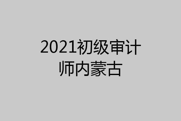 2021初级审计师内蒙古
