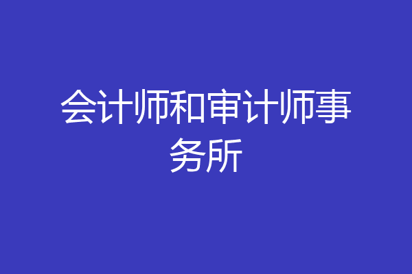 会计师和审计师事务所