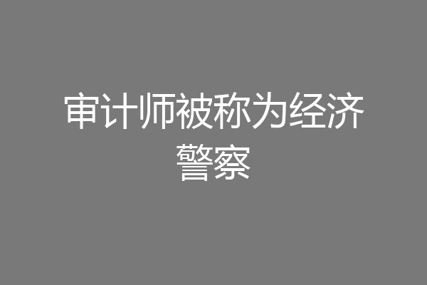 审计师被称为经济警察
