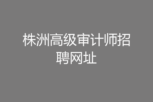 株洲高级审计师招聘网址