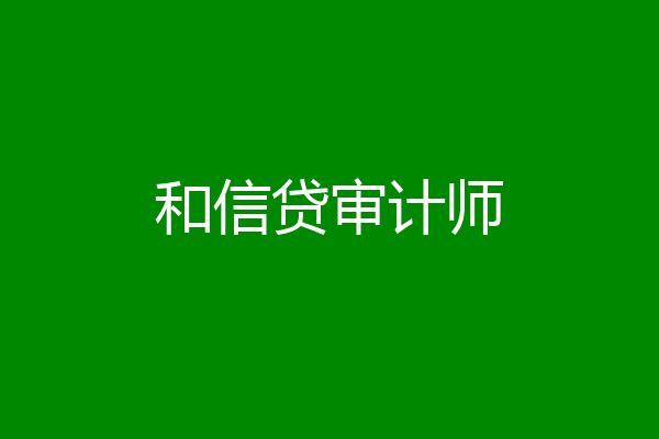 和信贷审计师
