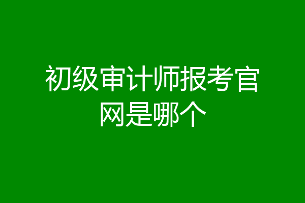 初级审计师报考官网是哪个