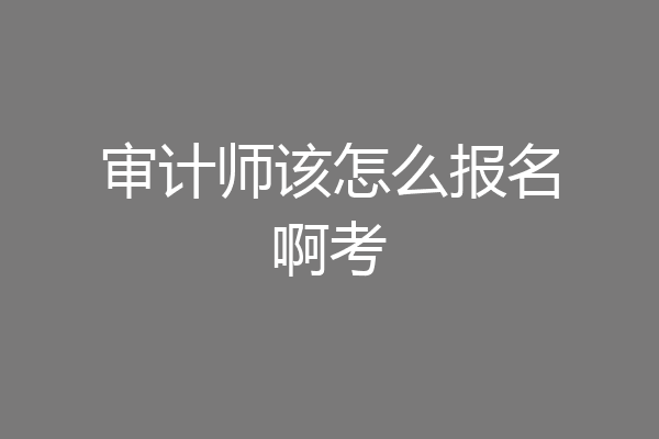 审计师该怎么报名啊考