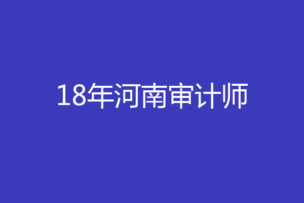 18年河南审计师