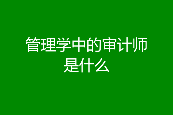 管理学中的审计师是什么