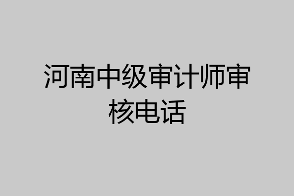 河南中级审计师审核电话