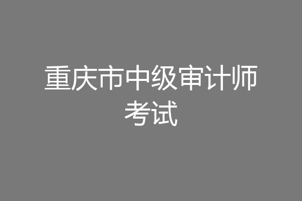 重庆市中级审计师考试