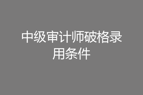 中级审计师破格录用条件