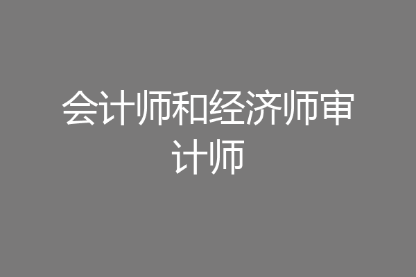 会计师和经济师审计师