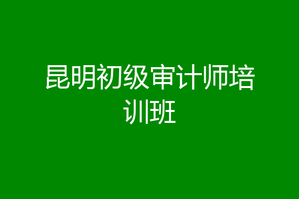 昆明初级审计师培训班