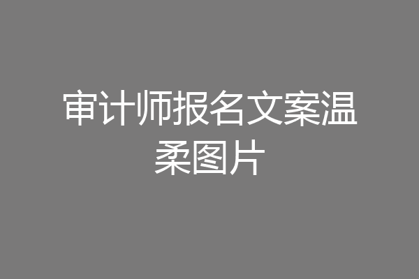 审计师报名文案温柔图片
