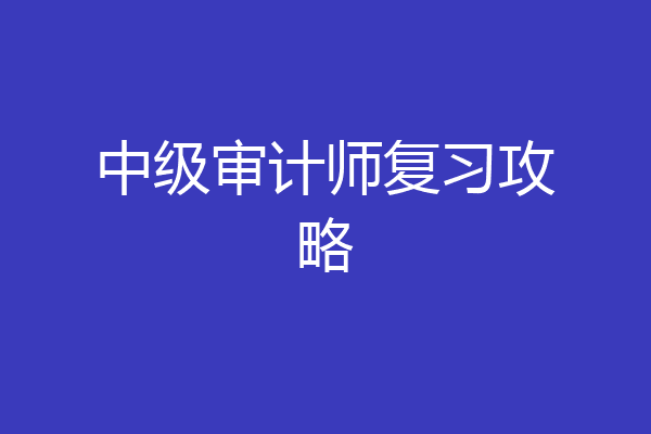 中级审计师复习攻略