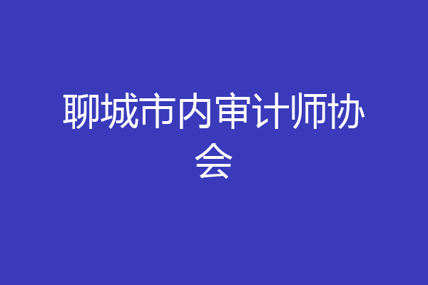 聊城市内审计师协会
