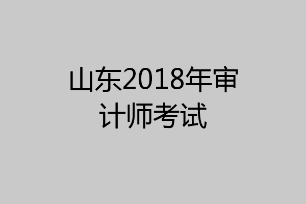 山东2018年审计师考试