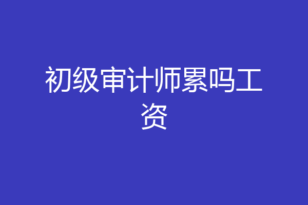 初级审计师累吗工资
